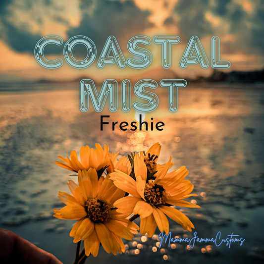 Coastal Mist Scented Freshie - Shape of Choice